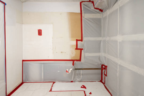 Best Asbestos and Lead Testing During Mold Inspection  in Cliffwood Beach, NJ
