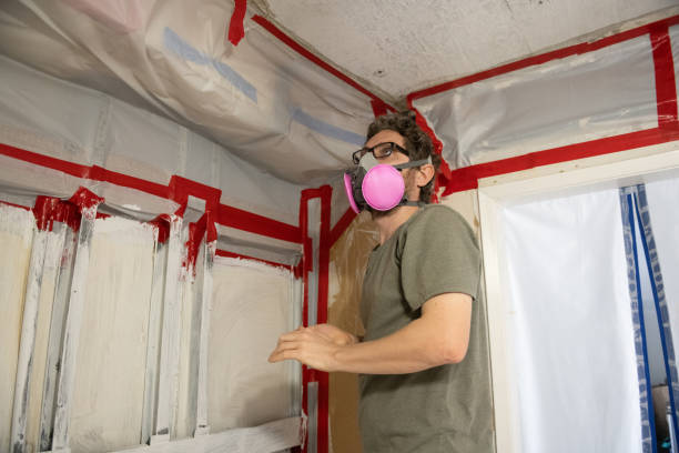 Trusted Cliffwood Beach, NJ Mold Removal Experts