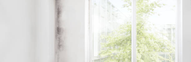  Cliffwood Beach, NJ Mold Removal Pros